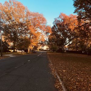 Meet your Posher, Pat